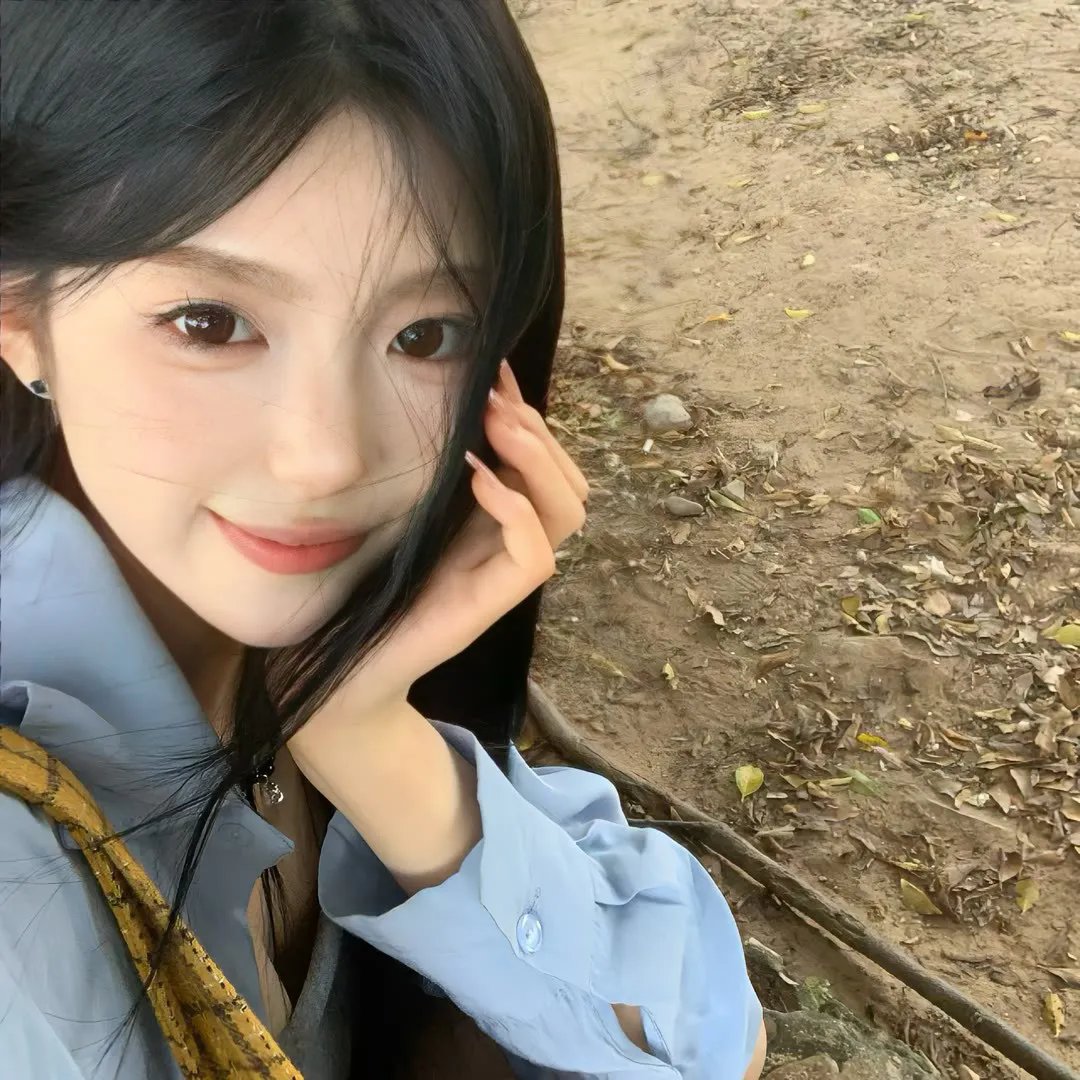 今天也要努力当只猫